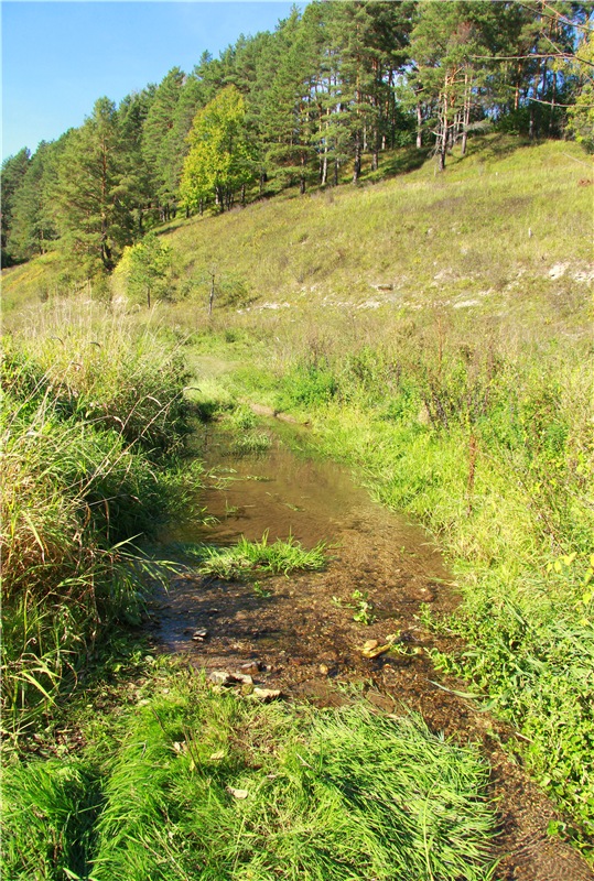 Старицкая Швейцария. Старицкие пещеры, д. Толпино, заключительная часть