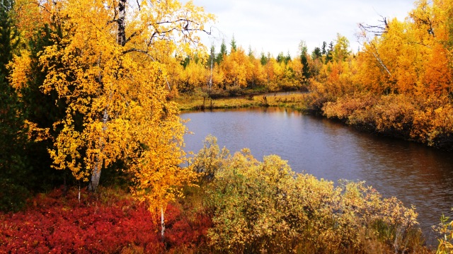 Осенний пейзаж — Туризм и путешествия: фотоотчеты из поездок