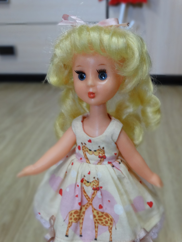 Ивановские Золушки-Василисы (фото 5)