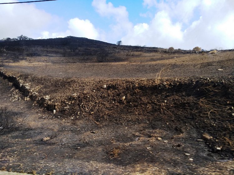 Тайна моего имени. Часть 11. Португалия, Мыс Рока. Там, где кончается земля, и начинается море (фото 5)