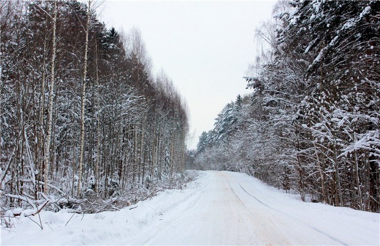 Рождественские гуляния, часть первая. Zwergnase Mischa