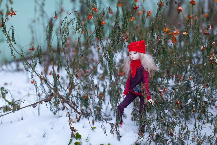 Когда хорошая погода — Куклы DIM (Doll in Mind): корейские BJD (БЖД) (фото 10)
