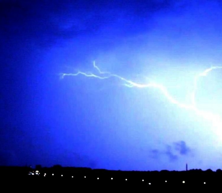 После дождичка в саду) — Красивая природа и цветы: фото пейзажей