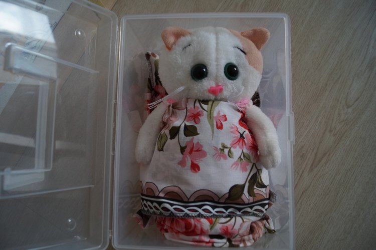 Как Агаша кошечку шила — Другие хобби и увлечения: сад