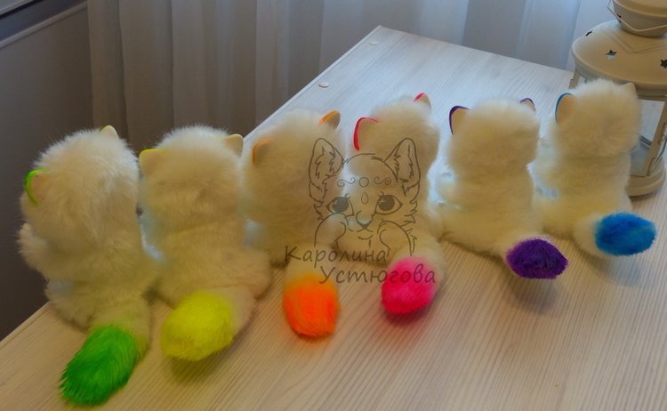 Королевские волшебные коты, породы: Мирис. В кадре и за кадром. Процесс