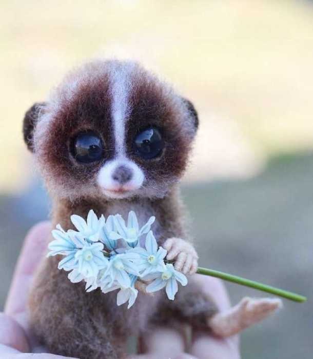 Ожившие зверушки, реализм и эстетика