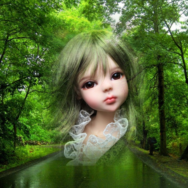 Эльфийский лес — Разные куклы BJD (БЖД): редкие бренды