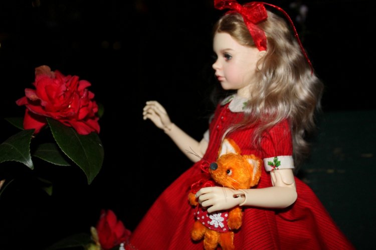 Розочка в вечернем саду — Куклы Dollshe Craft (Доллше): BJD (БЖД)