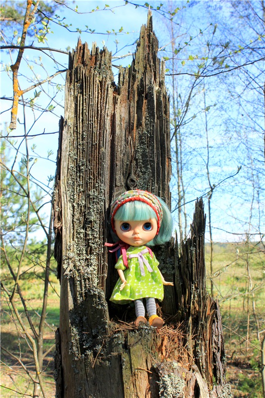 Долгая дорога к Волге. Custom Blythe Doll UFO Go Go Takara