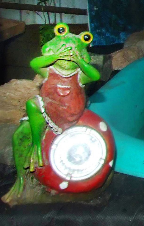 Болотные страсти!... Последние штрихи подготовки к августфесту