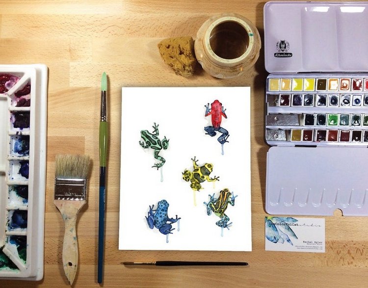 TheColorfulCatStudio - Иллюстрированная фауна by Rachel Byler