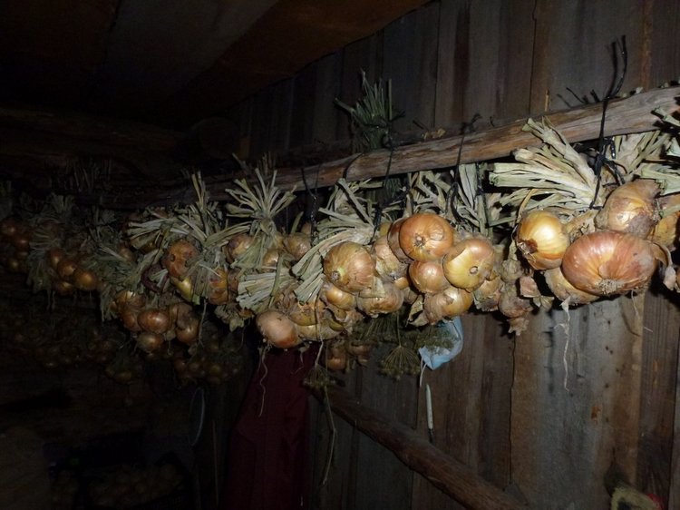 Отдых в деревне с Джой — Туризм и путешествия: фотоотчеты из поездок