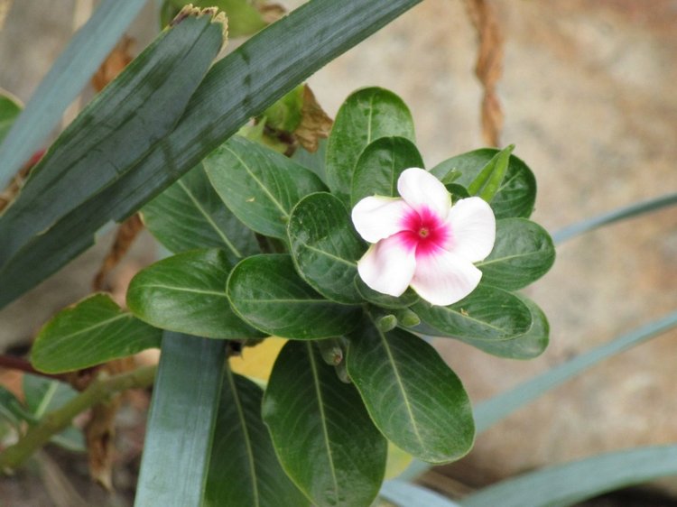 Осенняя пора в Ростове-на-Дону