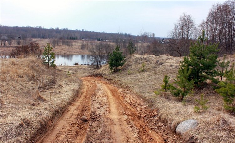 Путешествие Имани в ПанИку (фото 8)