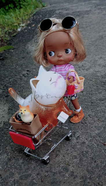 Holala Pipita Peter — Куклы Holala (Холала) от Jenny Fairytown: Pipita