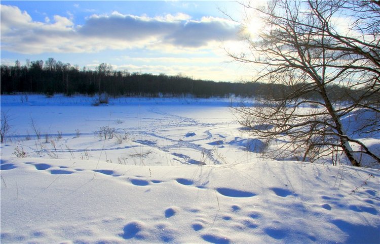 Зимняя прогулка Сони. Уникальная кукла от Сильвии Наттерер