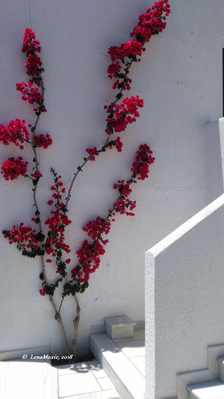 Kidz' тур. Нико на Крите. Аниссарас