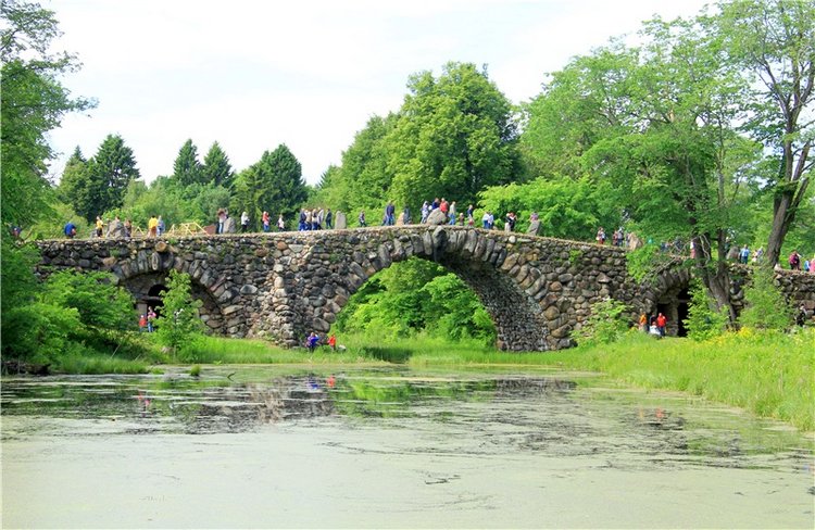 "Троицкие гуляния" в Василёво, 2018 год. Архитектурно-этнографический музей под открытым небом Василёво