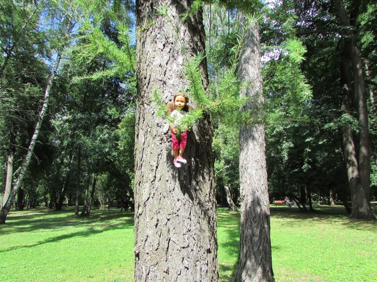 Моя кукольная семья на прогулке в Измайловском Парке (фото 9)