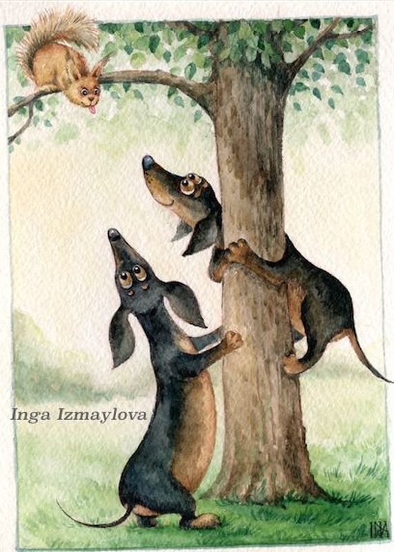 Предновогодние денёчки! Улыбнёмся вместе! Смешные таксы Инги smG