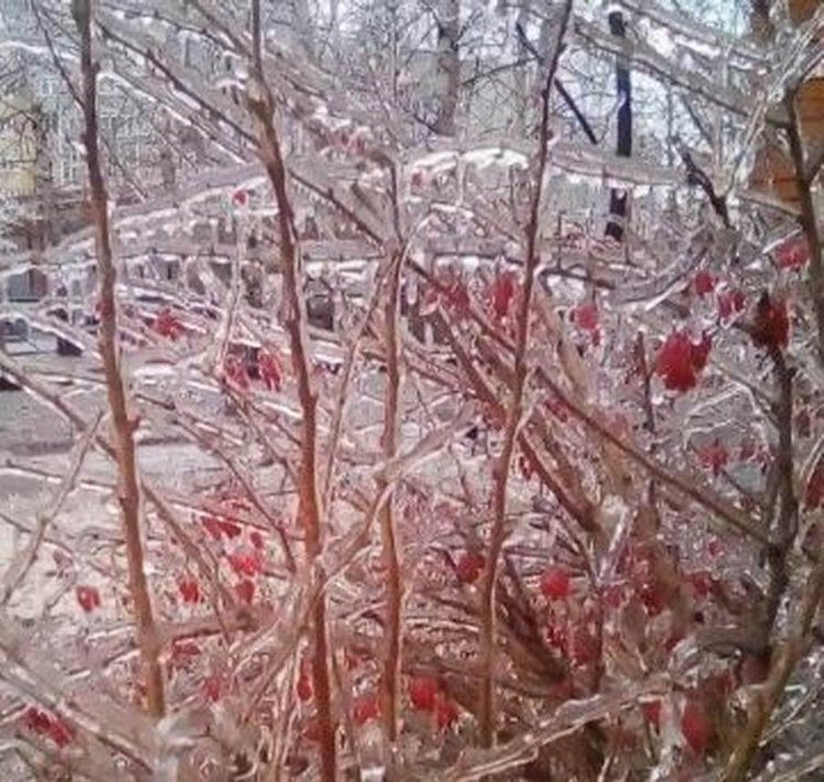 Ледяная красота на католическое Рождество в Чебоксарах, ловим солнечного зайчика... много фото | Бэйбики Ледяная красота на католическое Рождество в Чебоксарах, ловим солнечного зайчика... много фото