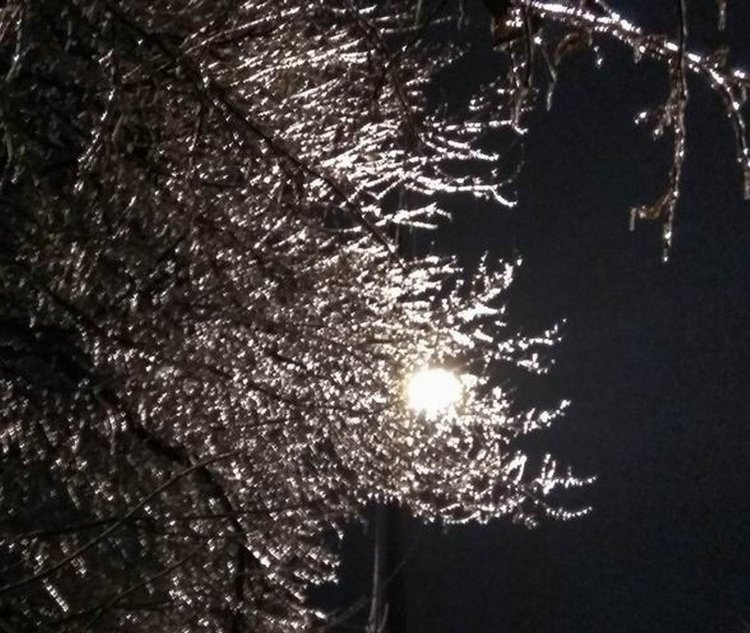 Ледяная красота на католическое Рождество в Чебоксарах, ловим солнечного зайчика... много фото | Бэйбики Ледяная красота на католическое Рождество в Чебоксарах, ловим солнечного зайчика... много фото (фото 8)