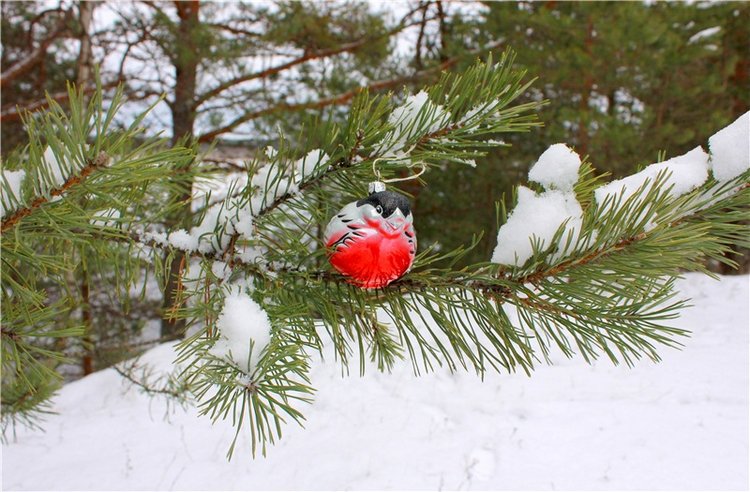 Бейли и Дий. Mini Bailey SK от Meadow dolls