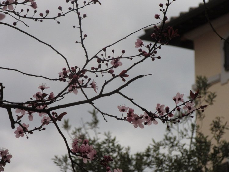 До пандемии. Путешествие по Италии, часть 3 (Флоренция, аутлет Барберино)