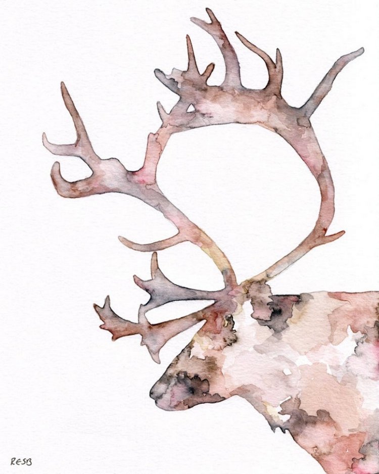 TheColorfulCatStudio - Иллюстрированная фауна by Rachel Byler (фото 5)