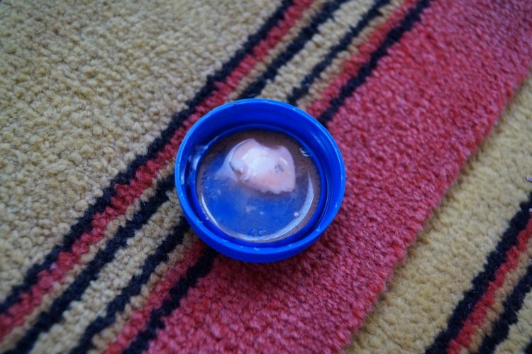 Выписка здоровых пациентов из кукольной лечебницы | Бэйбики Выписка здоровых пациентов из кукольной лечебницы