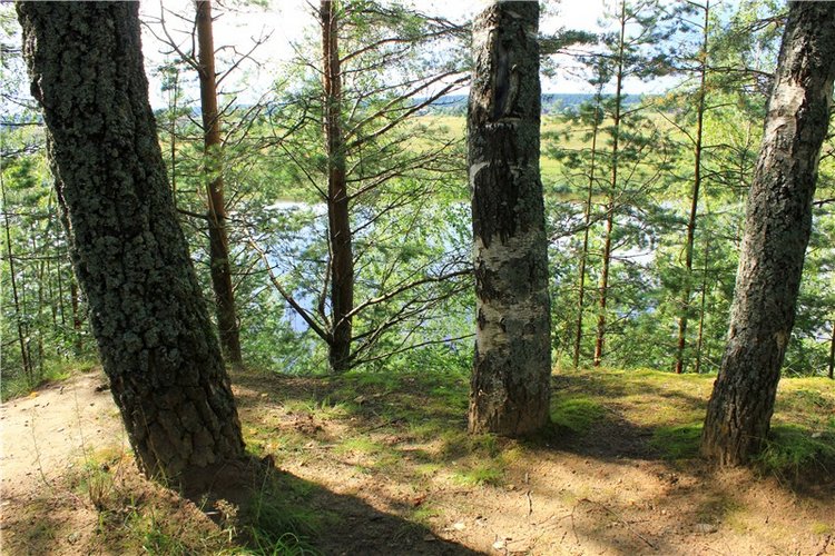 Августовское путешествие в "Сад Камней" | Бэйбики Августовское путешествие в "Сад Камней"