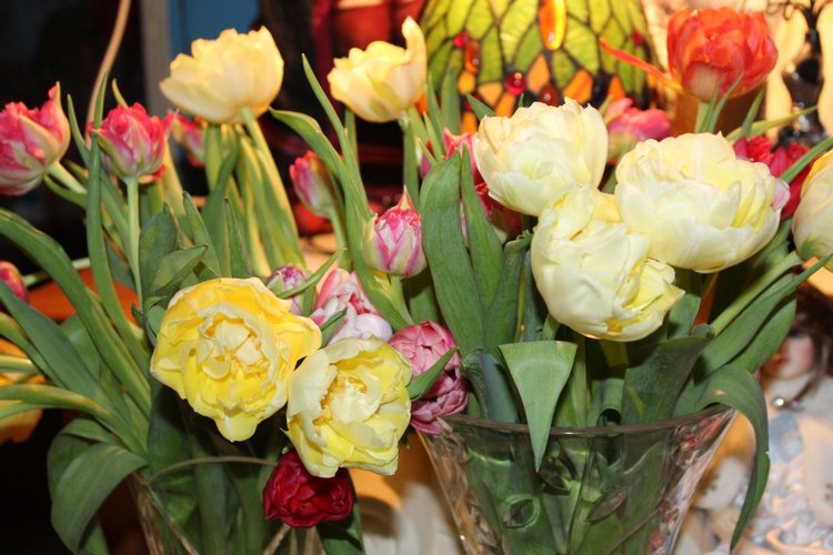 Poppy Parker и Весенние Тюльпаны | Бэйбики Poppy Parker и Весенние Тюльпаны