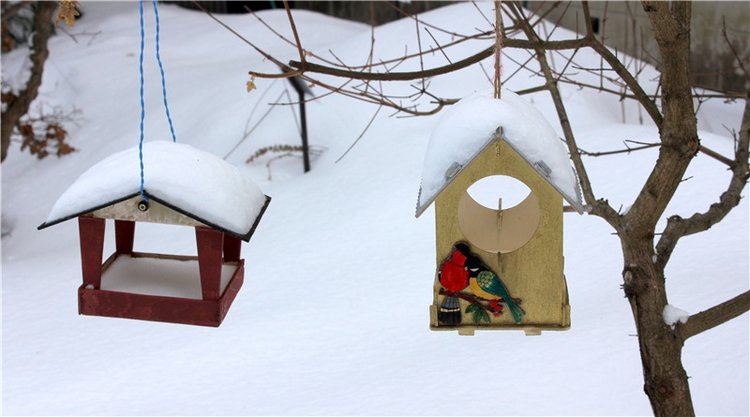 Тверской Ботанический Сад, заключительная часть