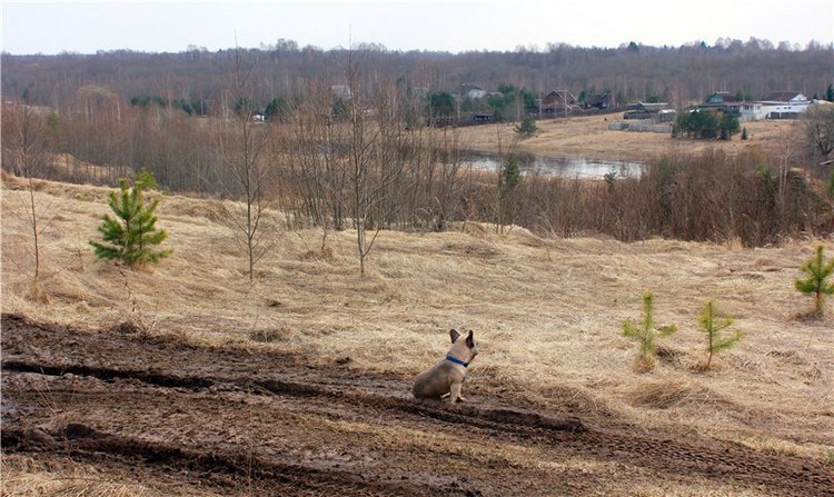 Путешествие Имани в ПанИку (фото 10)