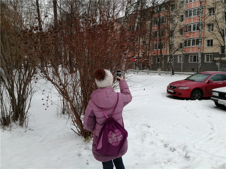 Снегири прилетели и Крошка на ладошке (фото 8)