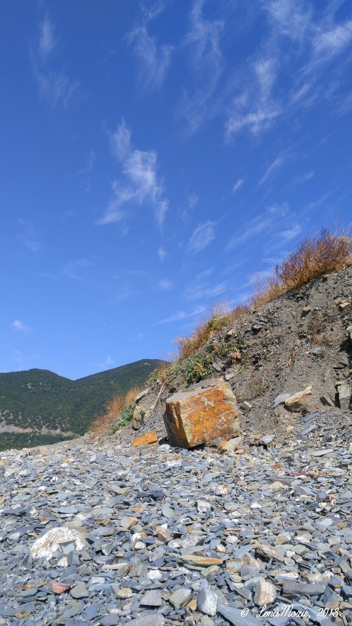 Kidz' тур. Юлино лето — Куклы Kidz'n'Cats (Соня Хартман): шарнирные 46 см (фото 10)