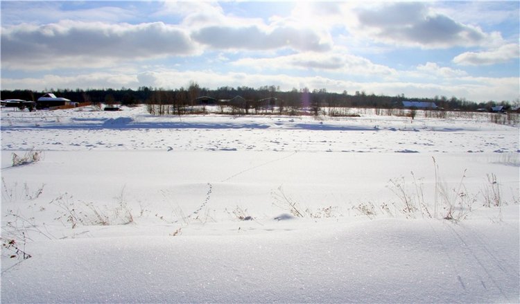 Зимняя прогулка Сони. Уникальная кукла от Сильвии Наттерер (фото 8)