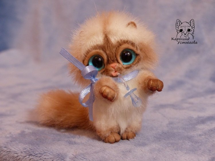 Сиамский котеночек-ребеночек (фото 4)