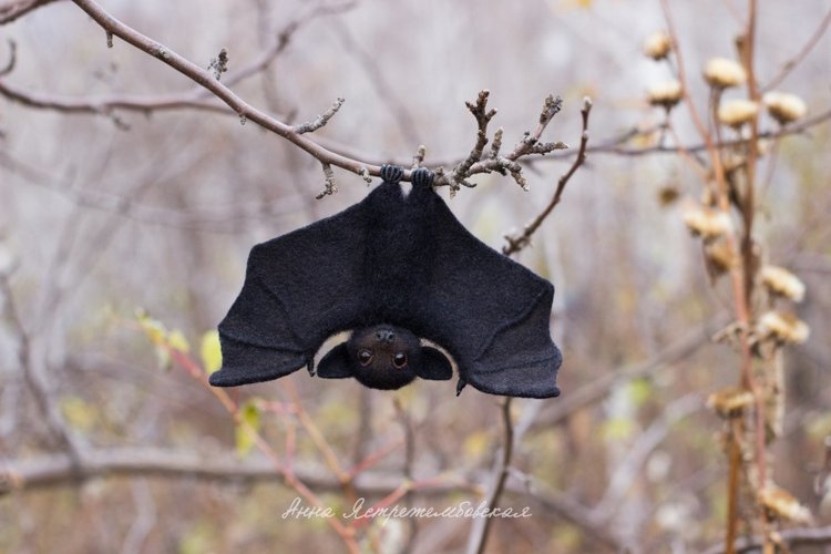Летучий лисенок — Валяные игрушки из шерсти: сухое валяние (фото 7)