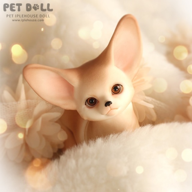 Новинки от Iplehouse - Маленький принц Fay (формат KID) и лис Fennec Fox (фото 8)