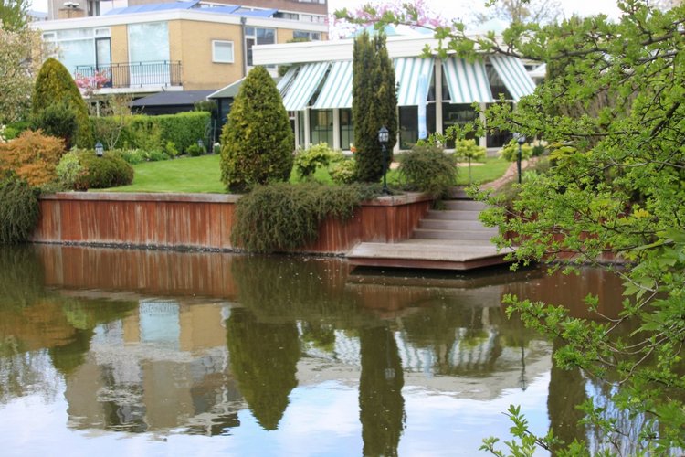 Цветущая Сакура. Прогулка по парку с Алисой. Весенние зарисовки