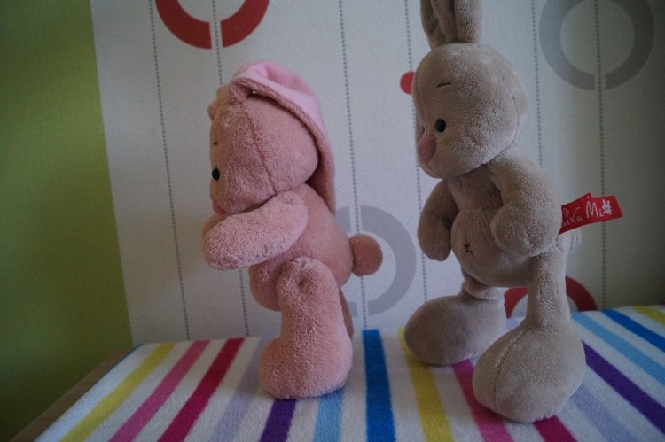 Как Агаша зайку шила — Другие хобби и увлечения: сад