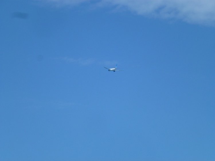 Сочи-Адлер: Южное Взморье - наблюдения за самолетами