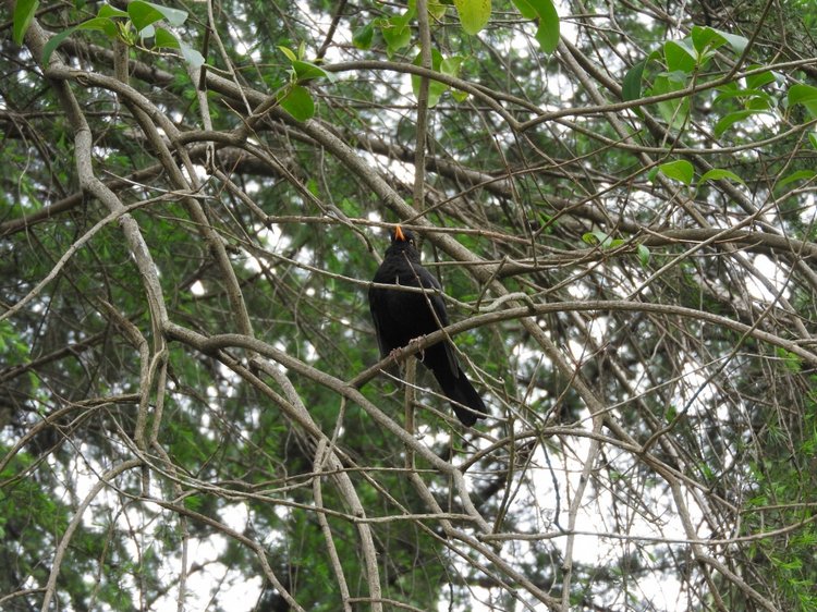 Сочи-Адлер: Южное Взморье - виртуальное путешествие по территории санатория