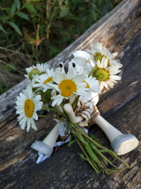 Wonderfrog. Красота в простоте