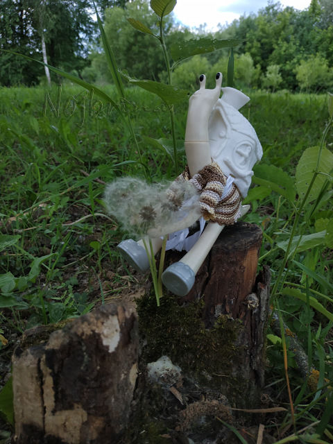 Wonderfrog. Красота в простоте