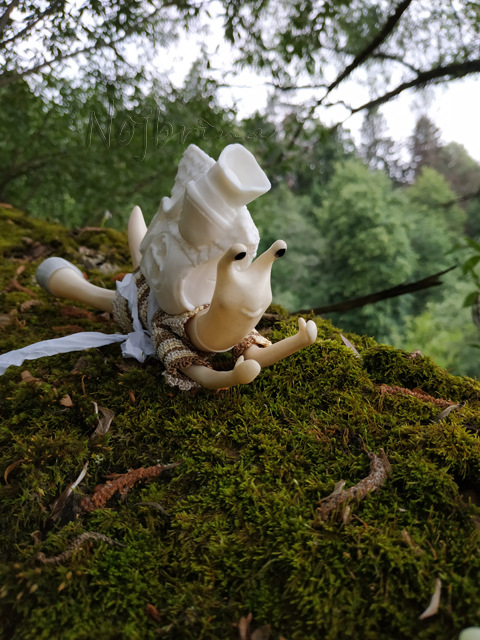 Wonderfrog. Красота в простоте