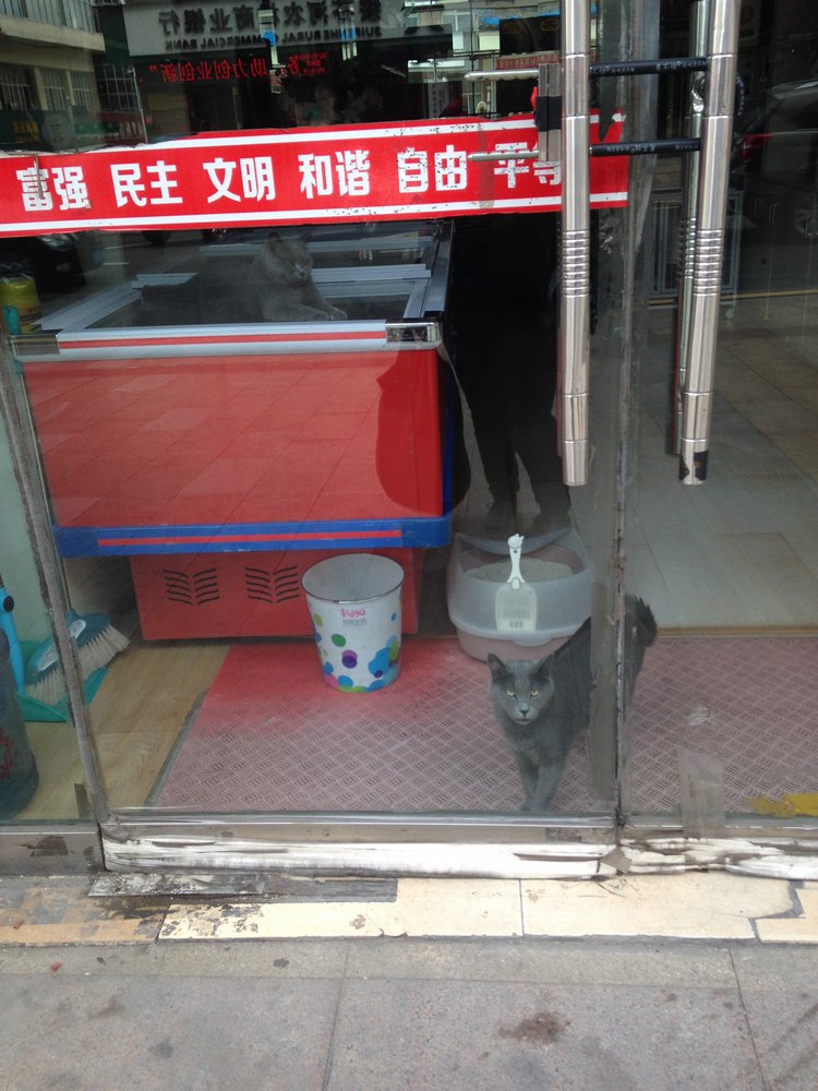 Курица не птица, Китай не заграница. Много фото, небольшая экскурсия