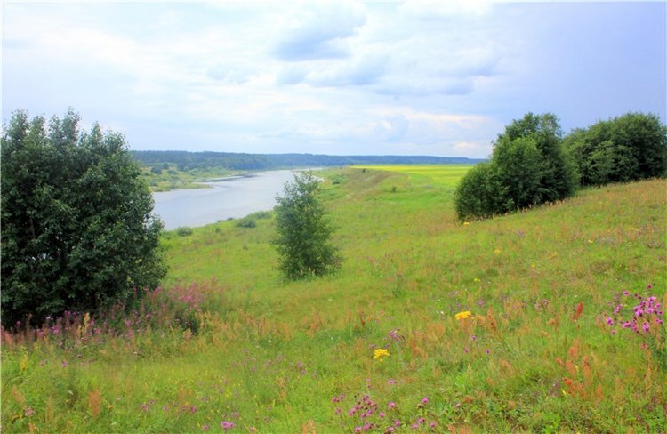 Летняя Фантазия — Куклы Kaye Wiggs (Кайе Виггс): авторские BJD (БЖД)