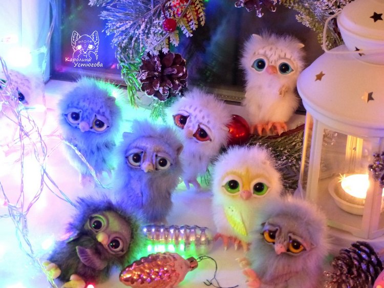 Совята в ожидании Новогодних праздников (фото 2)